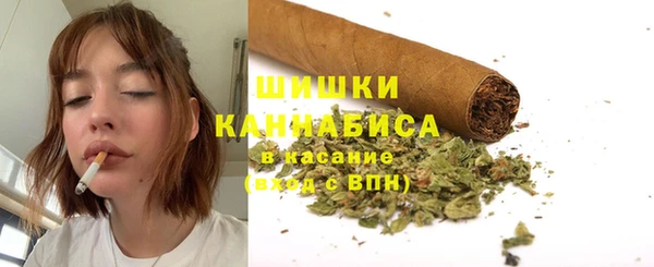 хмурый Богородицк