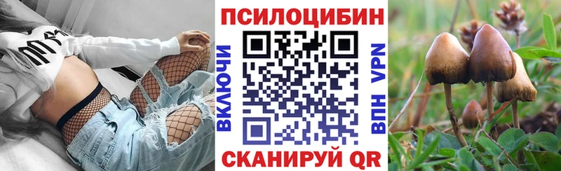 хочу наркоту  Бугуруслан  Псилоцибиновые грибы GOLDEN TEACHER 